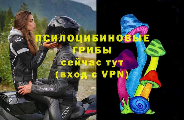 не бодяженный Володарск