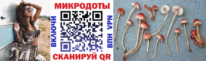 Псилоцибиновые грибы ЛСД сайты даркнета официальный сайт Каменка